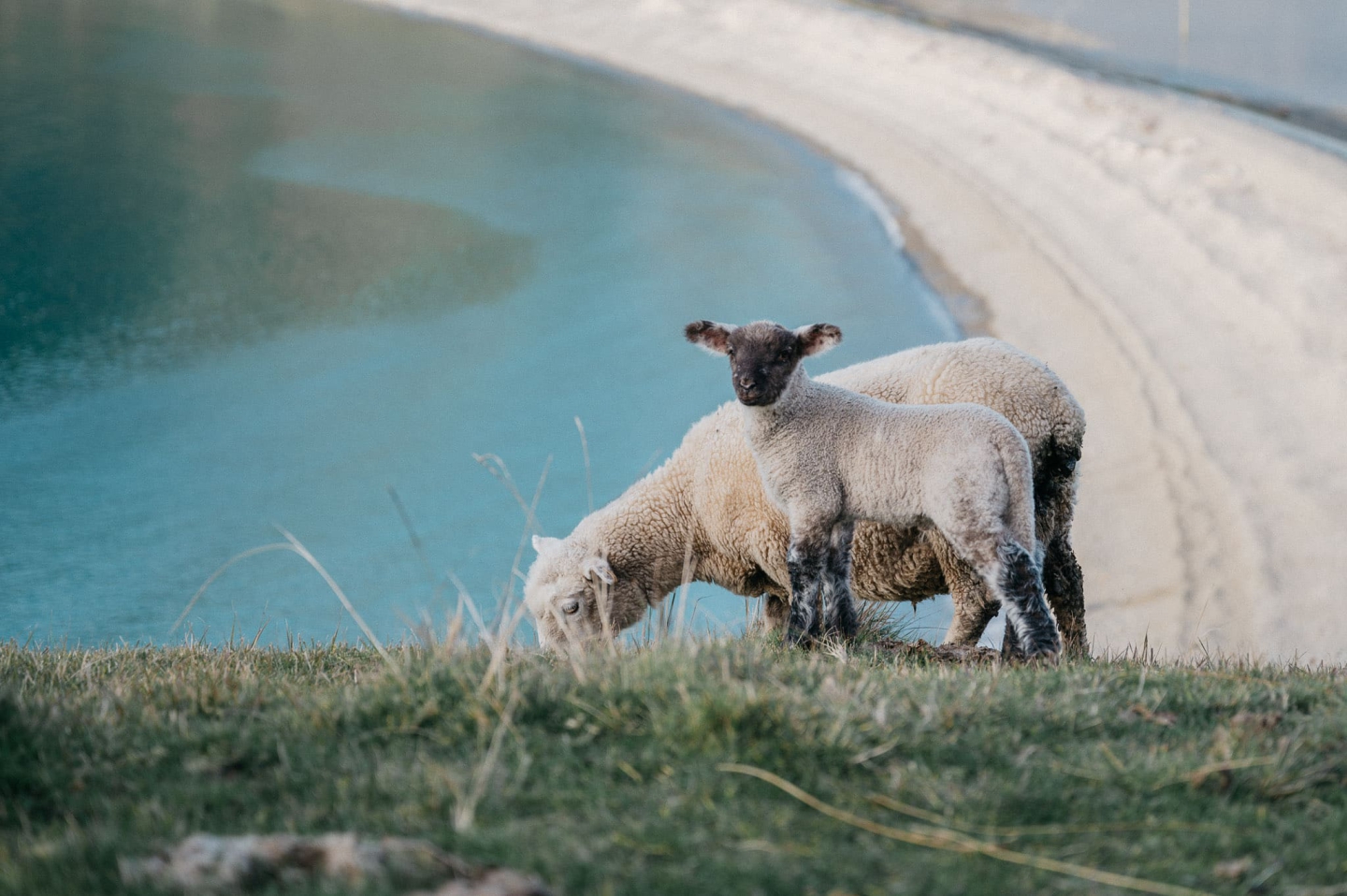 Familienblog, Neuseeland,